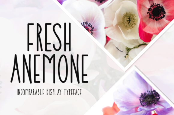 Fresh Anemone: A Playful Font for Polished Branding