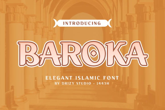 How Baroka Transformed My Brand's Visual Identity